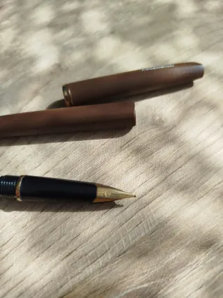 Pluma 18K Waterman Ascension Made in France