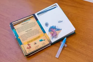 Libro para Pintar con Agua -Acuahistorias -Safeliz