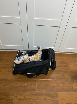 Traspontín gato o perro pequeño