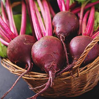 Semillas de remolacha "Gopak" (10 unidades)