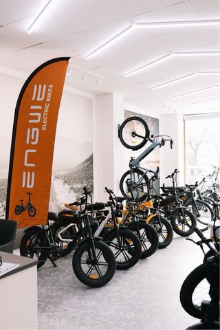 ENGWE T14 Bicicleta Eléctrica Plegable
