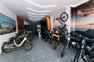ENGWE T14 Bicicleta Eléctrica Plegable