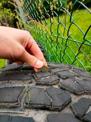 Ruedas BFGoodrich Mud-Terrain T/A 33x12.50 R15