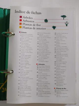MANUAL PRACTICO DE JARDINERIA CUIDADOS Y PLAGAS