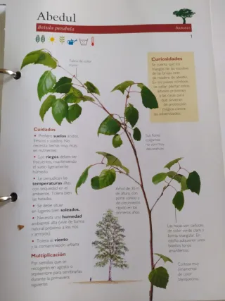 MANUAL PRACTICO DE JARDINERIA CUIDADOS Y PLAGAS