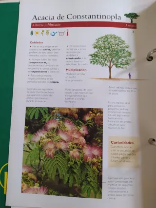 MANUAL PRACTICO DE JARDINERIA CUIDADOS Y PLAGAS