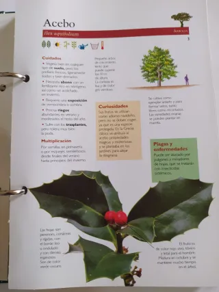 MANUAL PRACTICO DE JARDINERIA CUIDADOS Y PLAGAS