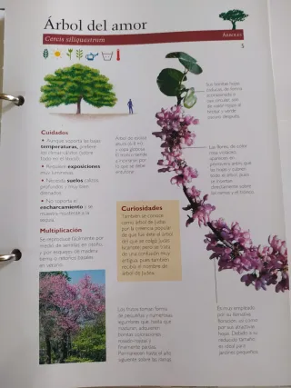 MANUAL PRACTICO DE JARDINERIA CUIDADOS Y PLAGAS