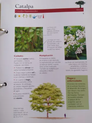MANUAL PRACTICO DE JARDINERIA CUIDADOS Y PLAGAS