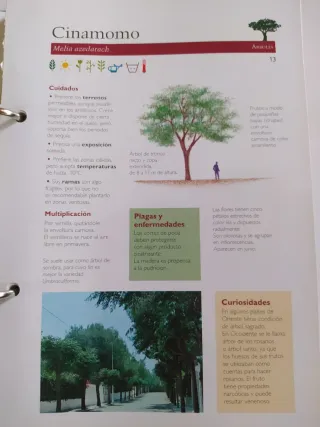 MANUAL PRACTICO DE JARDINERIA CUIDADOS Y PLAGAS