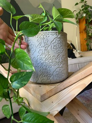 Vaso di cemento con incisione floreale