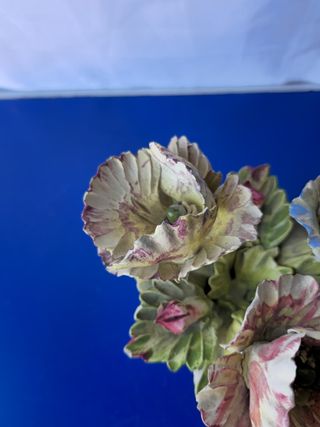 Centrotavola con Fiori in Porcellana Capodimonte