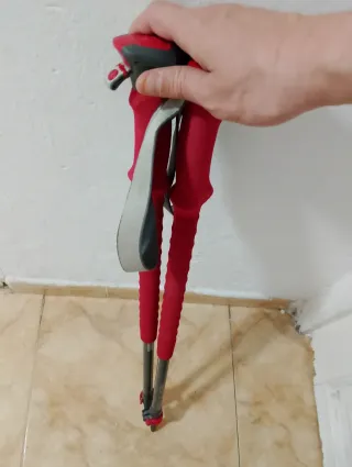 Bastones de montaña telescópicos