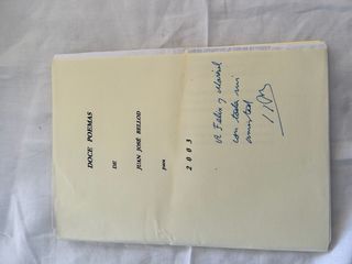 Pensamientos y Siemprevivas (1905)