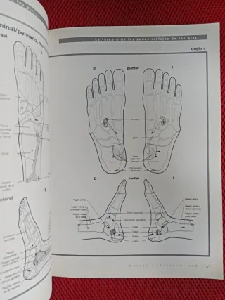 Revista Masaje n 6,  1998; Especial Reflexoterapia