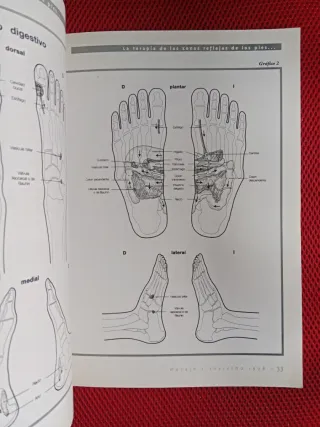 Revista Masaje n 6,  1998; Especial Reflexoterapia
