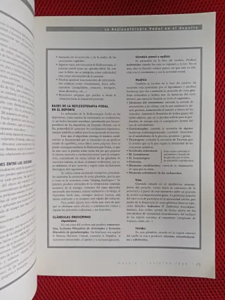 Revista Masaje n 6,  1998; Especial Reflexoterapia