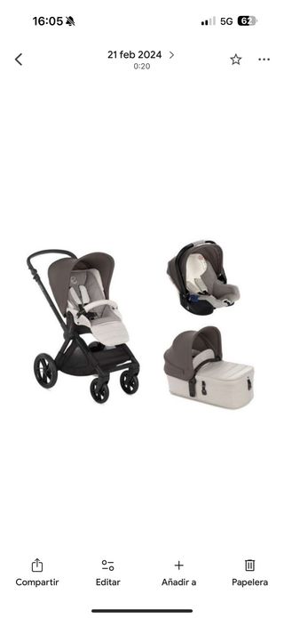 Carricoche Jane Muum 2019