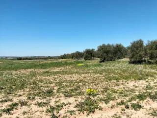 Finca rústica CON FACILIDAD DE PAGOS!!!