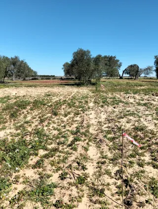 Finca rústica CON FACILIDAD DE PAGOS!!!