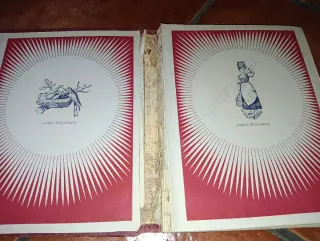Álbum Cromos Antiguo Nestle - Cantores Bosque Trop