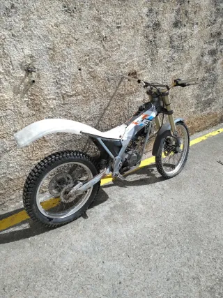 Beta de trial