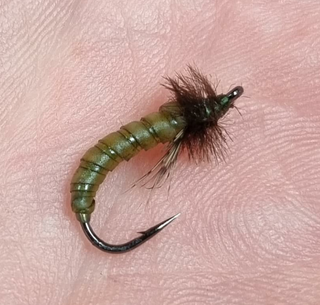 NINFAS PARA LA PESCA DE TRUCHAS