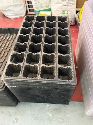 Lote propagadores esquejes y semillas 58x38x2