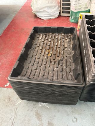 Lote propagadores esquejes y semillas 58x38x2