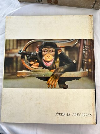 Libro Walt Disney: TOBY TYLER