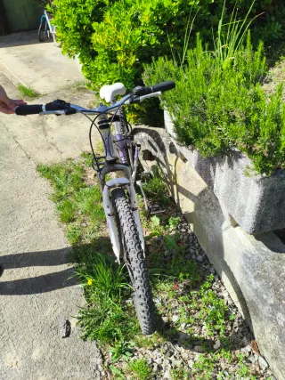 Bicicleta infantil 24 pulgadas
