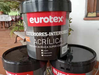 Pintura Exterior-Interior Eurotex Blanca 15L