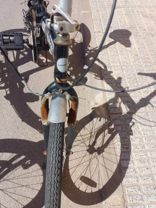 Bicicleta plegable precio las dos