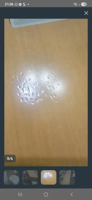 Mesa de comedor con 6 sillas