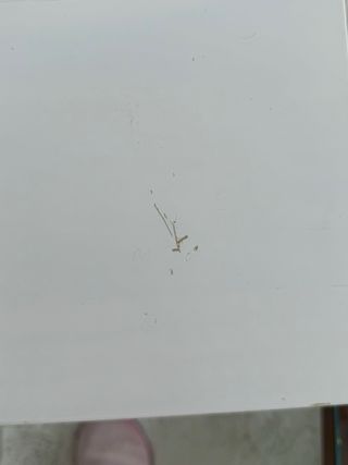 Mesa auxiliar blanca con cajón