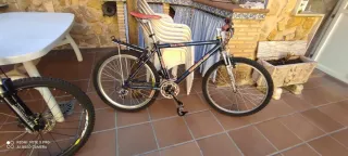 Bicicleta Wheeler Easton