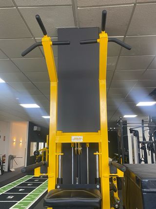 Máquina Dominadas Asistidas Profesional