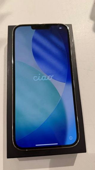 iPhone 13 Pro Max Argento