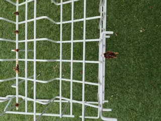 Cesta superior lavavajillas Siemens