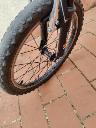 Bicicleta infantil 20 naranja