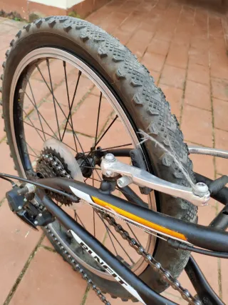 Bicicleta infantil 20 naranja