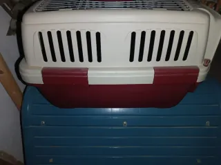 Transportín Perro yorkshire tamaño Grande