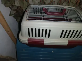 Transportín Perro yorkshire tamaño Grande