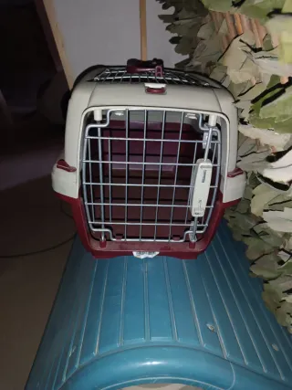 Transportín Perro yorkshire tamaño Grande