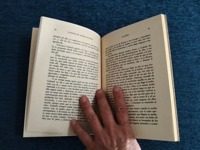 Cuentos de Hadas Célticos