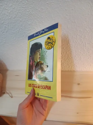 Los cinco se escapan