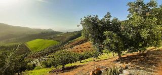 Casa rural en alquiler en Pizarra