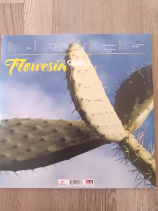 Vinil Shotta Flowesia