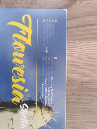 Vinil Shotta Flowesia