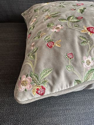 Cojines decorativos de terciopelo !!!!